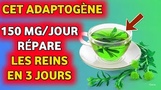 Cet ADAPTOGÈNE pour abaisser rapidement le taux de créatinine  Réparez vos reins en 3 jours [upl. by Leasia402]