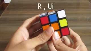 How to solve Rubiks Cube with just 2 simple moves [upl. by Cavil89]