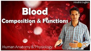 Human Blood Composition and Functions  Blood Physiology [upl. by Kcirdneked]