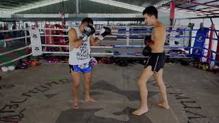 Muay Thai Basics  How to Throw a Muay Thai Teep Front and Rear [upl. by Hess929]