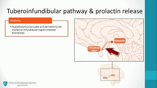 Antipsychotics Dopaminergic Pathways and Advanced Mechanisms [upl. by Selym]