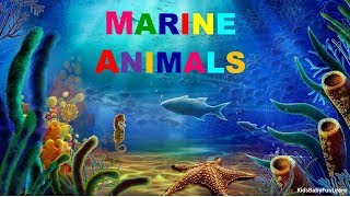 Famous Marine Animals  Learn the names of Marine Lives  Preschool Learning [upl. by Lanny]