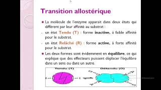 Biochimieبالعربية  3 Enzymologie  Part 4 La cinétique des Enzymes Allostériques [upl. by Zeugirdor573]