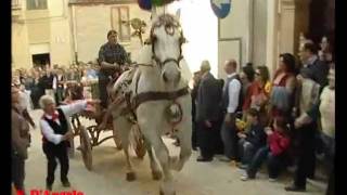 Il Ceto dei Cavallari  Festa del patrono SS Crocifisso di Calatafimi Segesta [upl. by Savannah]