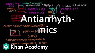 Antiarrhythmics  Circulatory System and Disease  NCLEXRN  Khan Academy [upl. by Ames]