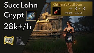 BDO  Crypt of Resting Thoughts  Elite Rotation  Succ Lahn  28k [upl. by Washington]