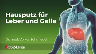 Hausputz für Leber und Galle  DrSchmiedel  Naturmedizin  QS24 Gesundheitsfernsehen [upl. by Rieth91]