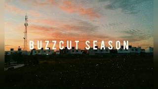 LordeBuzzcut Season lyrics [upl. by Tena998]