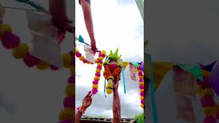 Bardi ची dahi handi🔥🔥🔥🔥🔥🔥 [upl. by Shieh]