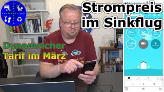 So haben wir mit dem dynamischen Stromtarif von Tibber unsere Stromkosten stark gesenkt Bilanz März [upl. by Milburr]