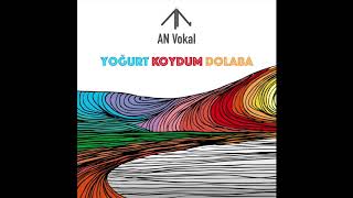 AN Vokal  Yoğurt Koydum Dolaba [upl. by Norword644]