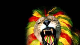 BEST RaggaJungle [upl. by Arde]