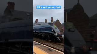 Sir Nigel Gresley passing Helsby trainvideos railway trainspotting trainsatspeed steamtrain [upl. by Belen]