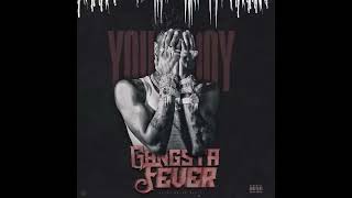 NBA Youngboy  Gangsta Fever AUDIO [upl. by Tidwell]