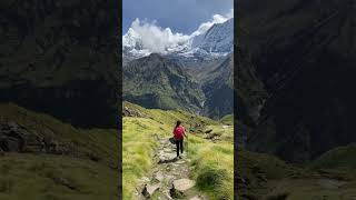 Langtang valley  Good Life Nepallangtangtrek travel nepaltrek [upl. by Asylem]