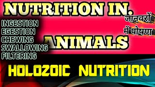 Nutrition in Animals Holozoic nutrition nutritioninanimal digestion [upl. by Htir]