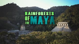 Rainforests of the Maya [upl. by Nylsor625]