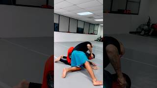 Submissions From Turtle bjj jiujitsu mixedmartialarts ufc mma martialarts blackbelt nogi ko [upl. by Anirahs515]