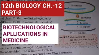 Class 12 biology chapter 12part 3biotechnological Application in medicineStudy with Farru [upl. by Htebazle285]