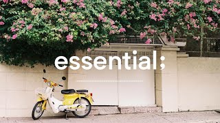 Playlist 산책이 좋아지는 계절🌿  가볍게 듣기 좋은 봄 노래  spring vibe songs🌿 [upl. by Enileuqcaj763]