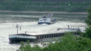 Rheinschiffe und zwei Triebwagen beim Bopparder Hamm Teil 02 von 02 [upl. by Sieracki]