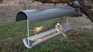 Como Hacer un Comedero para Pájaros con Tubo de PVC [upl. by Haimorej]