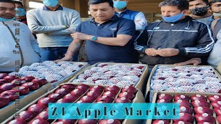 Zad One Apple Market  Fan Zed One Apple Latest Apple Variety Fan Z1  Himalayan Farming  Z1 Apple [upl. by Leivad]