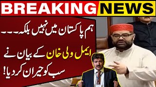 ANP Chief Aimal Wali Khans Statement Surprised Hamid Mir  Capital TV [upl. by Akeber661]