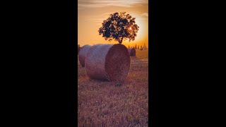 Aquileia [upl. by Aduhey]