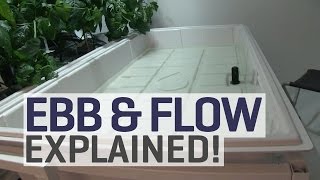 Ebb and Flow Hydroponics Explained [upl. by Lustick]