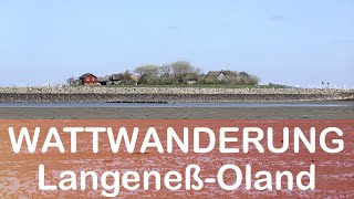 DEPPen im Watt Hallig Langeness  Dagebüll  Wattwanderung [upl. by Ahseniuq29]