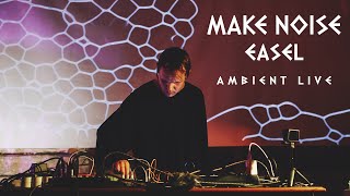 Make Noise Strega 0Coast 0Ctrl  Ambient Live [upl. by Colt]