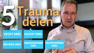 5 Trauma delen die je innerlijke kind willen redden [upl. by Warder]