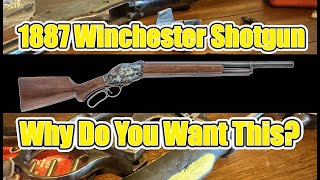 1887 Winchester  The Rube Goldberg Device of Shotguns [upl. by Yecart901]