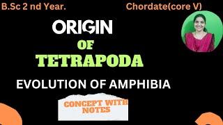 Origin Of Tetrapoda bsc 2nd yearAmphibian ancestrycoelomates tetrapoda [upl. by Laet]