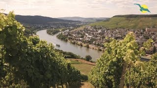 🍇Flusskreuzfahrt auf RHEIN und MOSEL  Weinzauber mit MS ALENA I Phoenix Reisen TV 90 Teil 2 [upl. by Valeria893]