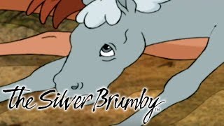 The Silver Brumby  The Brolga Wants a Fight HD  Full Episode  Videos For Kids [upl. by Giuliana]