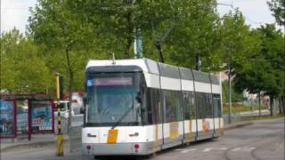 Siemens HermeLijn Tram in Antwerpen [upl. by Gerkman]