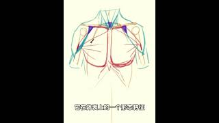 human art drawing｜Cant draw the acromion and pectoralis major Try these methods [upl. by Grady]