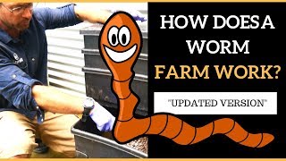 How Does a Worm Farm WORK Updated 2019 Version [upl. by Zzaj761]