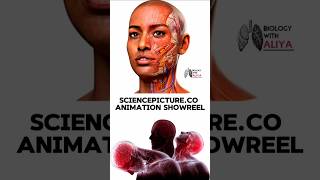 SciencePictureCo Animation Showreel medical animation 3d short [upl. by Anotyal]