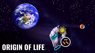 The Panspermia Hypothesis Explained [upl. by Siroled595]