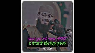 অনেক দুঃখ কষ্ট আছেন প্রতিদিন এ ওয়াজ টি শুনুন নতুন লেকচার Abrarul Haque Asif [upl. by Obeded]