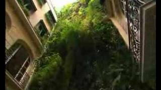 Patrick Blanc Vertical Garden interview in Paris [upl. by Terpstra765]