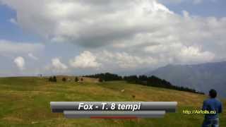 Slope soaring RC GLIDER ABm FOX SWIFT DISCUS  MONTE AVENA RELOADED [upl. by Eenaffit234]