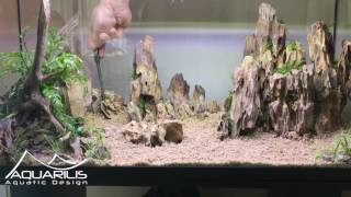 Comment faire un aquarium en aquascaping  Dragon Scape [upl. by Eisserc2]