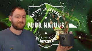 Blink Wereld Natuur amp Techniek Thema 71 Puur natuur [upl. by Ennahgiel]