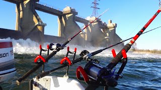 November Catfish and Sauger fishing below a Dam Big fish on light tackle [upl. by Aicinoid]