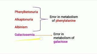 Phenylketonuria [upl. by Eninotna]