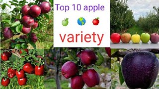 Top 10 apple variety 2022  Himachal Pradesh [upl. by Uhile]